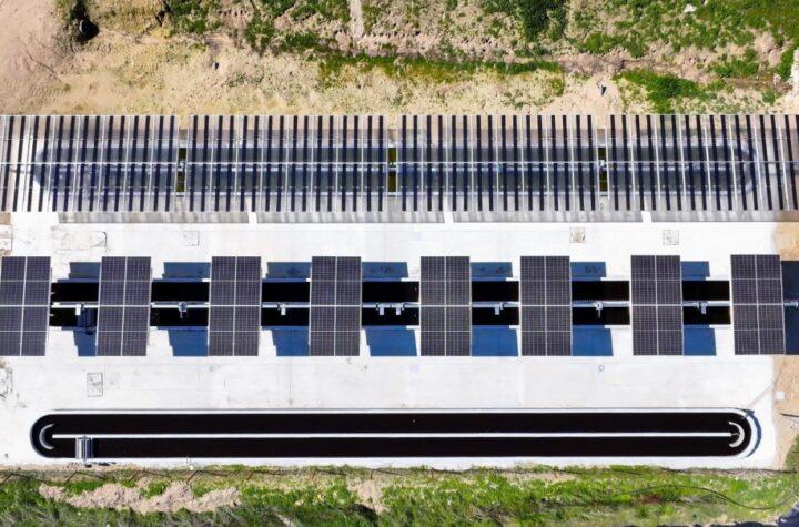 Mesa de trabajo sobre energía agrovoltaica y oportunidades en Ávila, organizada por la Diputación