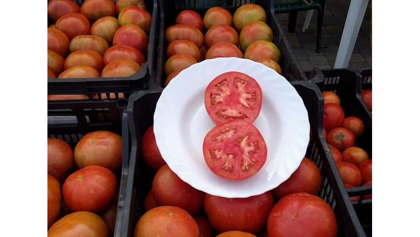 La Diputación apoya a 45 municipios leoneses en la continuidad de sus ferias agropecuarias en